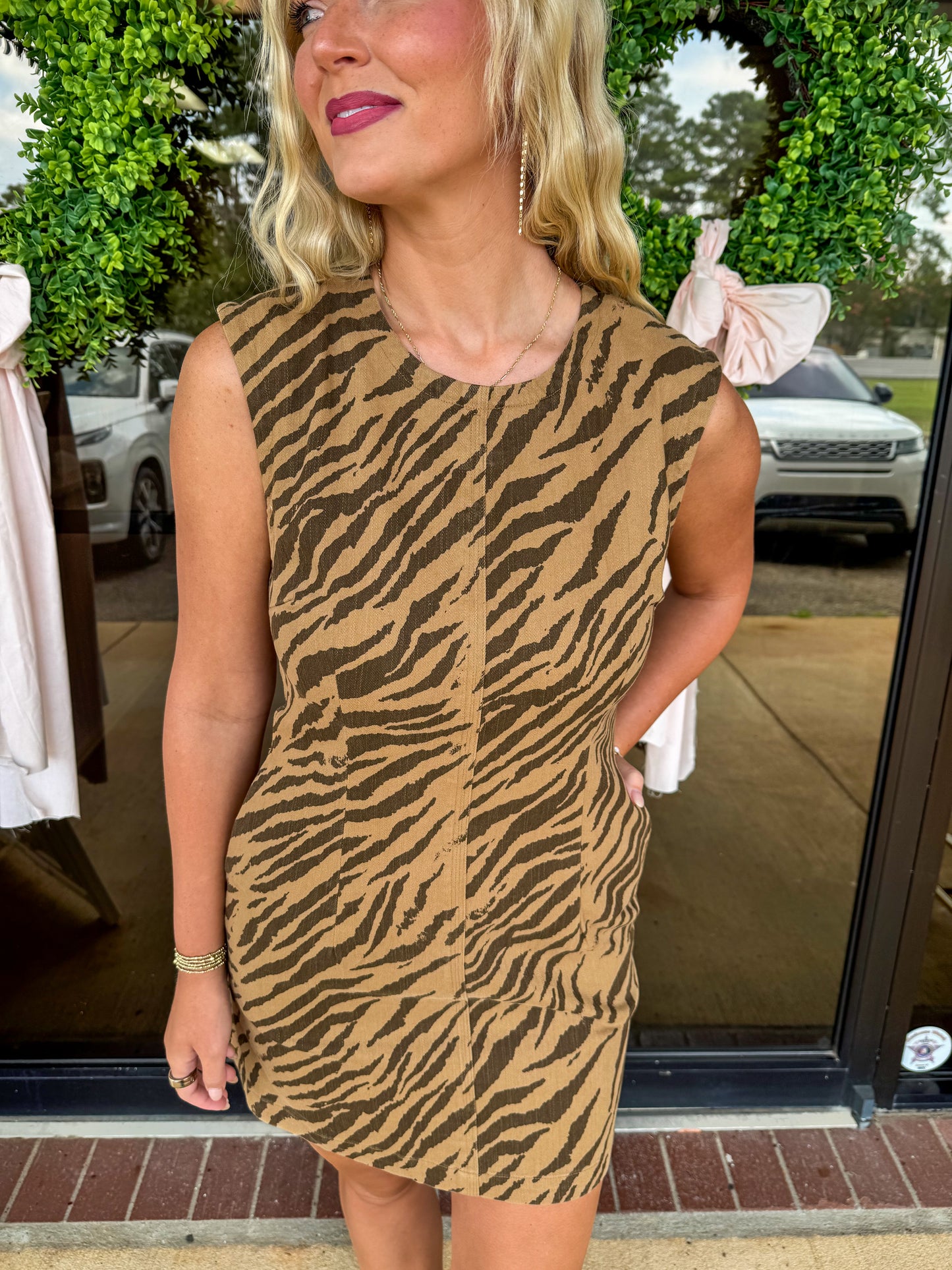 Tiger Walk Dress